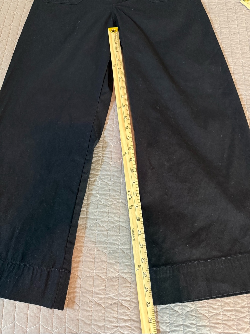 Anthropologie’s Maeve Colette Cropped Wide-Leg High-Rise Pants in Black - Picture 13 of 15